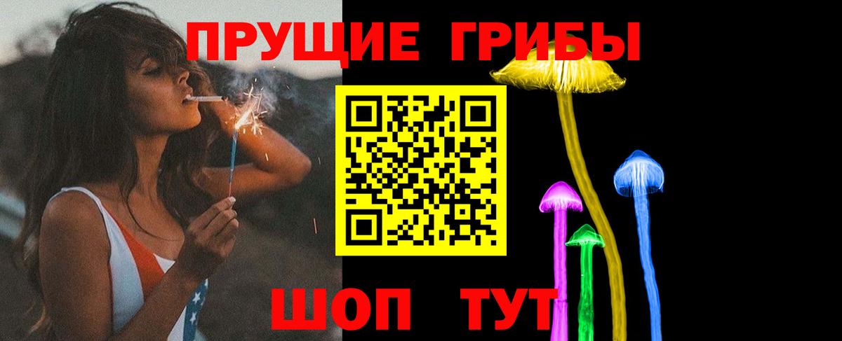 Галлюциногенные грибы Psilocybine cubensis Саратов